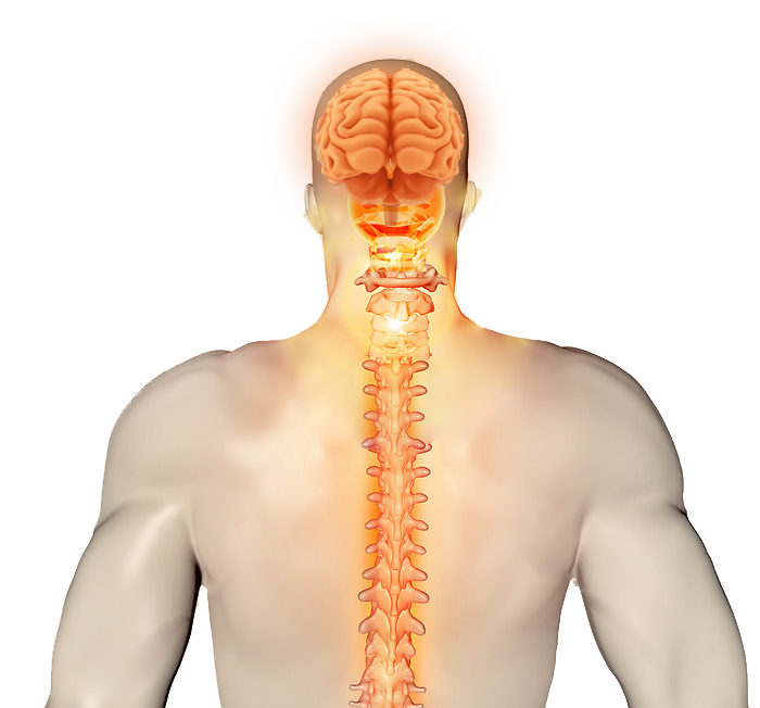 BCST Slider Image - Craniosacral therapy in Hyderabad