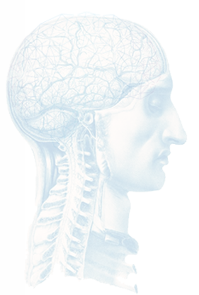 Craniosacral therapy in Hyderabad